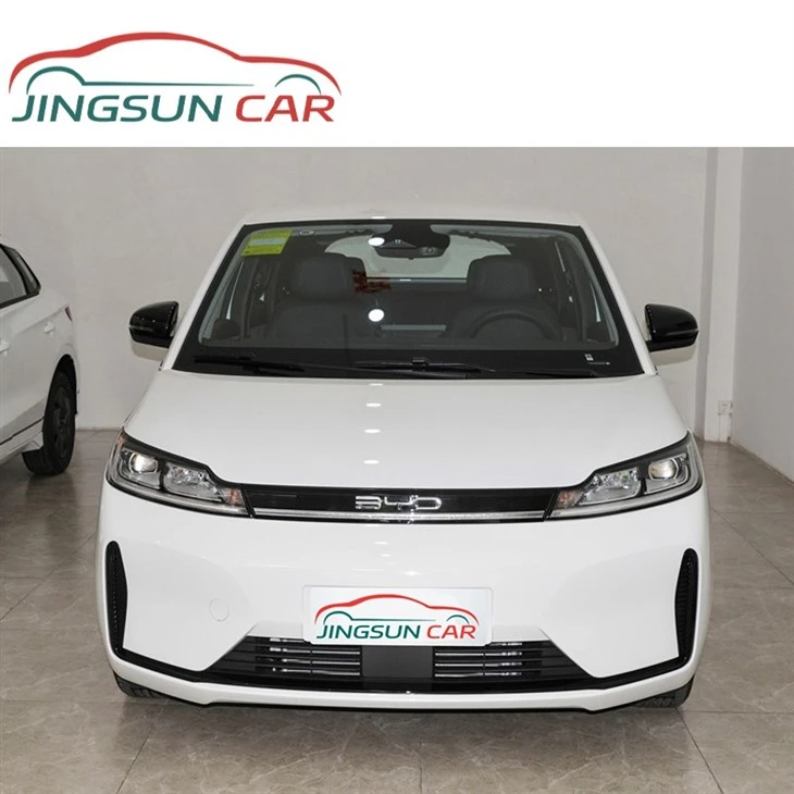 BYD D1