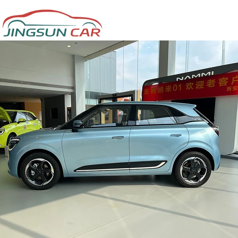 Dongfeng NAMMI 01