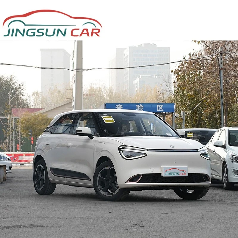 Dongfeng NAMMI 01
