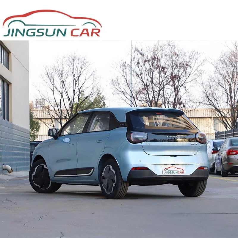 Dongfeng NAMMI 01