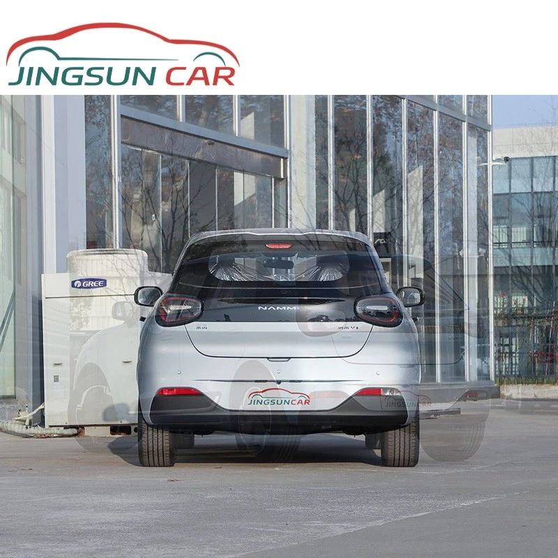 Dongfeng NAMMI 01